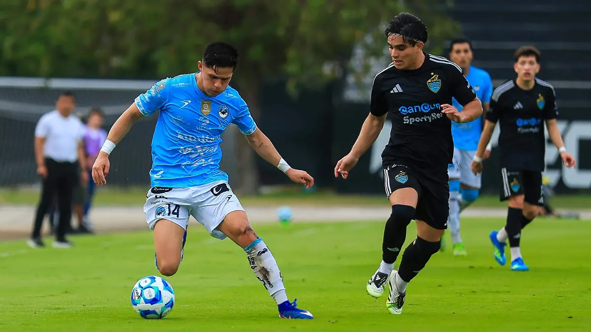 jaiba-brava-avanza-a-final-liga-de-expansion-2