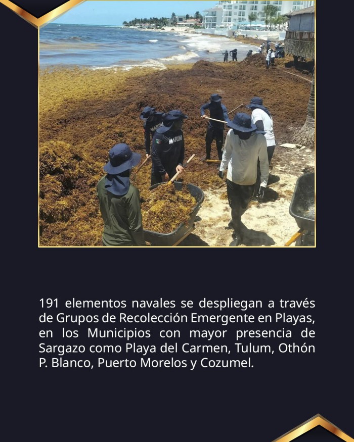 semar-despliega-13-buques-para-contener-sargazo-quintana-roo-2