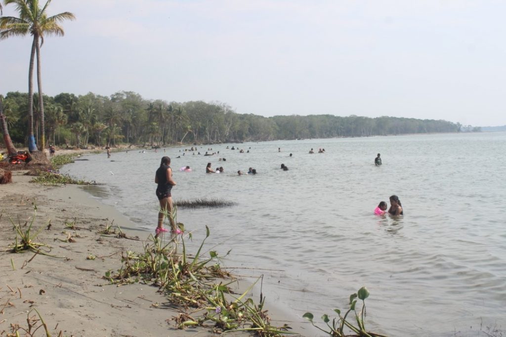 Reportan Playas De Centla Contaminadas Con Medusas Encambio Diario