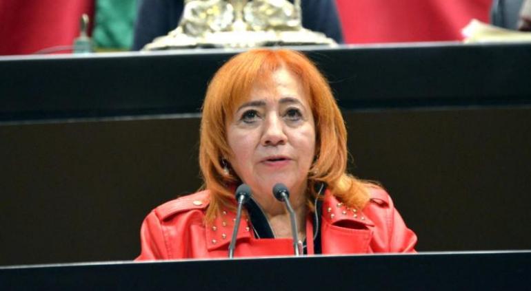 Rosario Piedra, Presidenta De La CNDH, Propone Disolver El Organismo ...