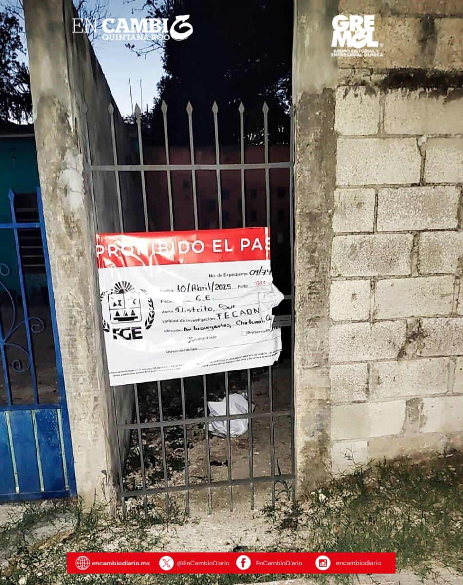 Aseguran drogas en bares de Felipe Carrillo Puerto; hay cinco detenidos