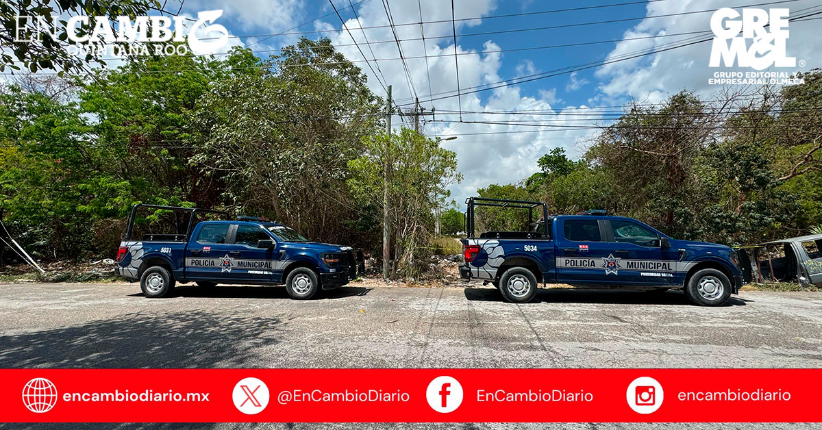 Localizan osamenta humana en área verde de la Supermanzana 226 en Cancún