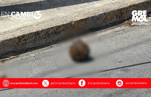 Hallazgo de restos humanos en la Región 227 moviliza a autoridades