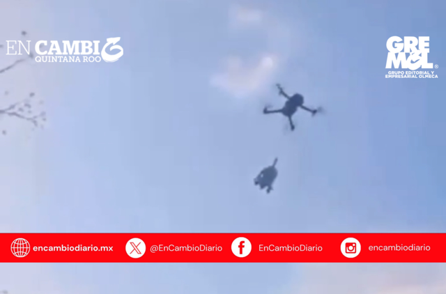 Indignación en Quintana Roo por caso de crueldad animal: exigen justicia tras video de perrito colgado de un dron