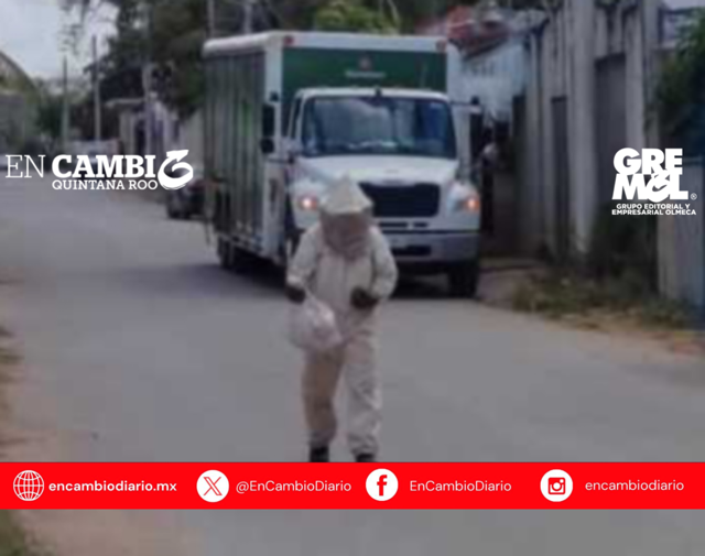 Movilización de bomberos por enjambre de abejas en José María Morelos