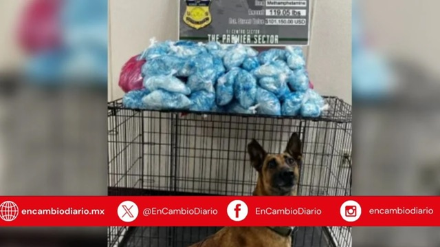 Detienen en California a mexicana con más de 50 kilos de metanfetamina