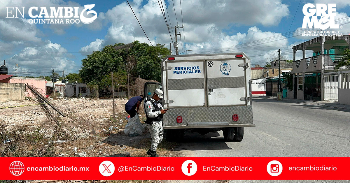 Hallan restos humanos en área verde de la Supermanzana 226 en Cancún