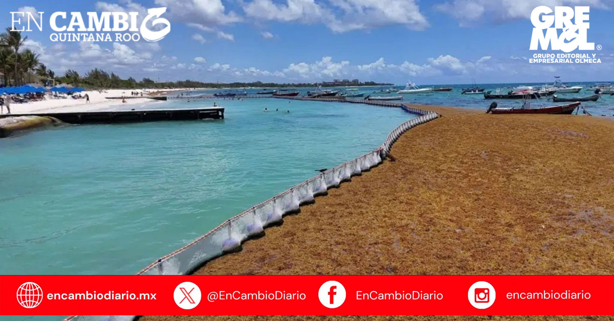 Playa Cisne se mantiene limpia gracias a nueva barrera antisargazo instalada con apoyo de la Marina