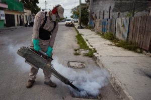 La acumulación de residuos que favorecen la proliferación del mosquito transmisor.