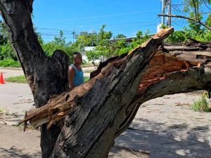 El inicio de la temporada de huracanes causó estragos en la ciudad
