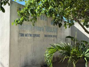 En lo que va del mes, se han registrado tres denuncias similares en Playa del Carmen