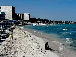 Los visitantes optan por irse a otro destino donde las playas estén libres de sargazo