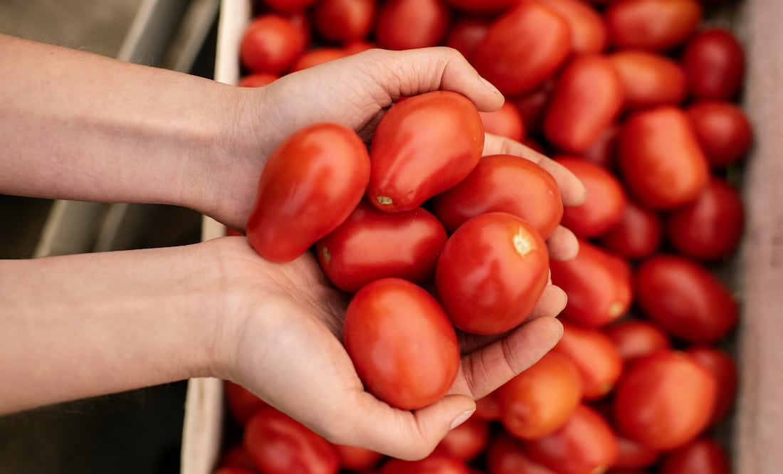 Estados Unidos pone aranceles a tomate mexicano
