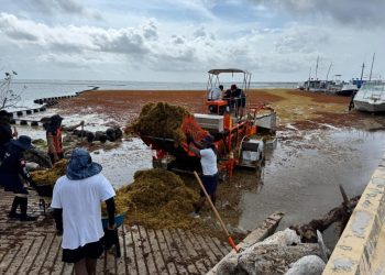 Acusa gobierno de Quintana Roo campañas falsas sobre el sargazo