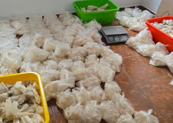 Golpe de Harfuch al narco: 800 kilos incautados