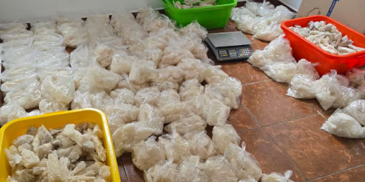 Golpe de Harfuch al narco: 800 kilos incautados