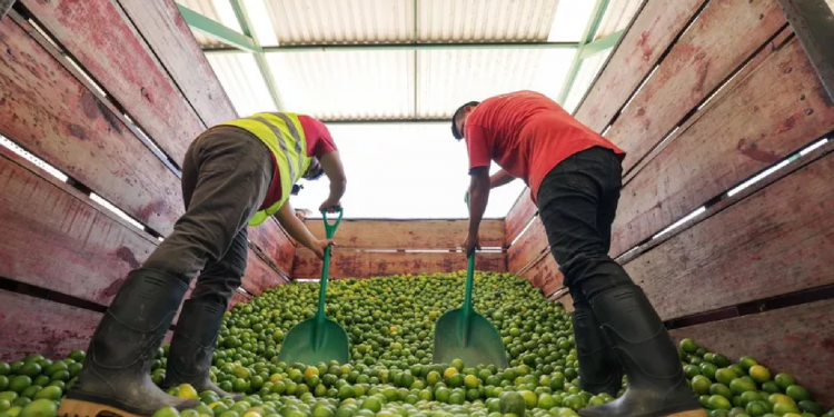 Área de oportunidad en Texas para empresarios de Quintana Roo