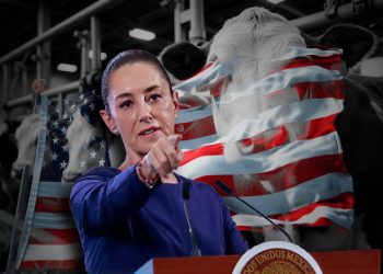 Califica Sheinbaum de “totalmente exagerada” la decisión de EE.UU. de volver a cerrar la frontera al ganado mexicano