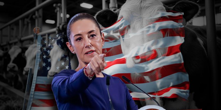 Califica Sheinbaum de “totalmente exagerada” la decisión de EE.UU. de volver a cerrar la frontera al ganado mexicano