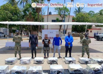 Media tonelada de cocaína en Oaxaca