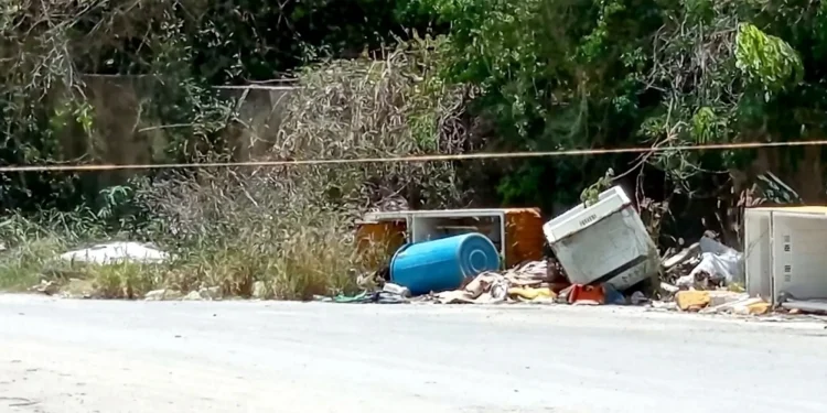 Macabro hallazgo en Cancún: restos humanos dentro de un bote de basura