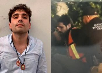 Caso Ovidio en suspenso: audiencia en Chicago pospuesta