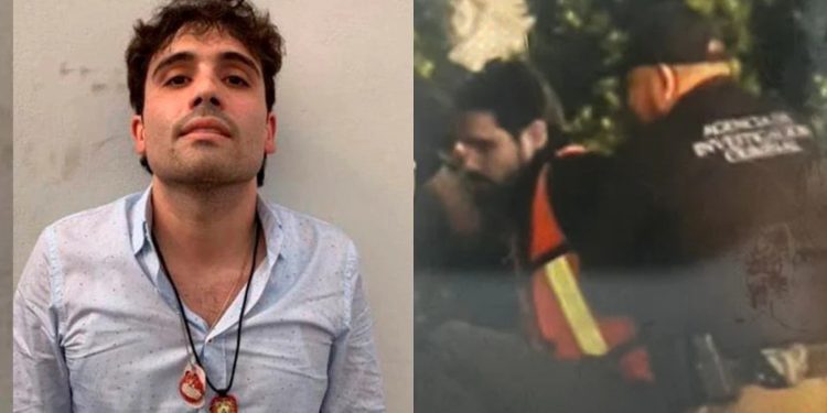 Caso Ovidio en suspenso: audiencia en Chicago pospuesta