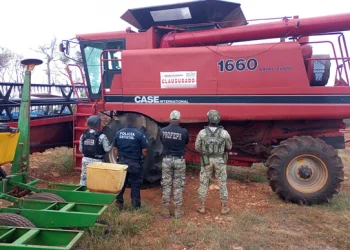 Profepa intensifica acciones legales contra menonitas por tala ilegal: más de 2,600 hectáreas devastadas