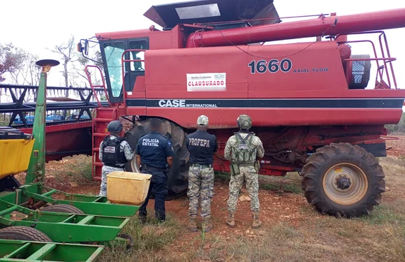 Profepa intensifica acciones legales contra menonitas por tala ilegal: más de 2,600 hectáreas devastadas