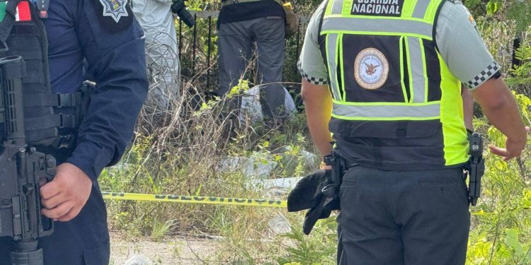 Hallan a tres taxistas muertos en tramo Playa del Carmen‑Puerto Morelos