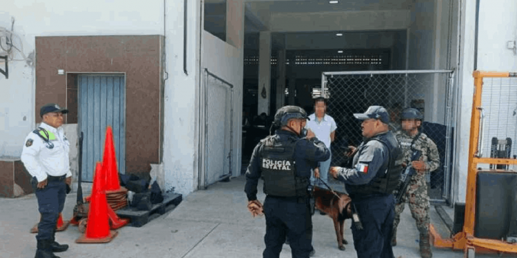 Caninos detectan droga en empresa de paquetería de Chetumal: así fue el hallazgo