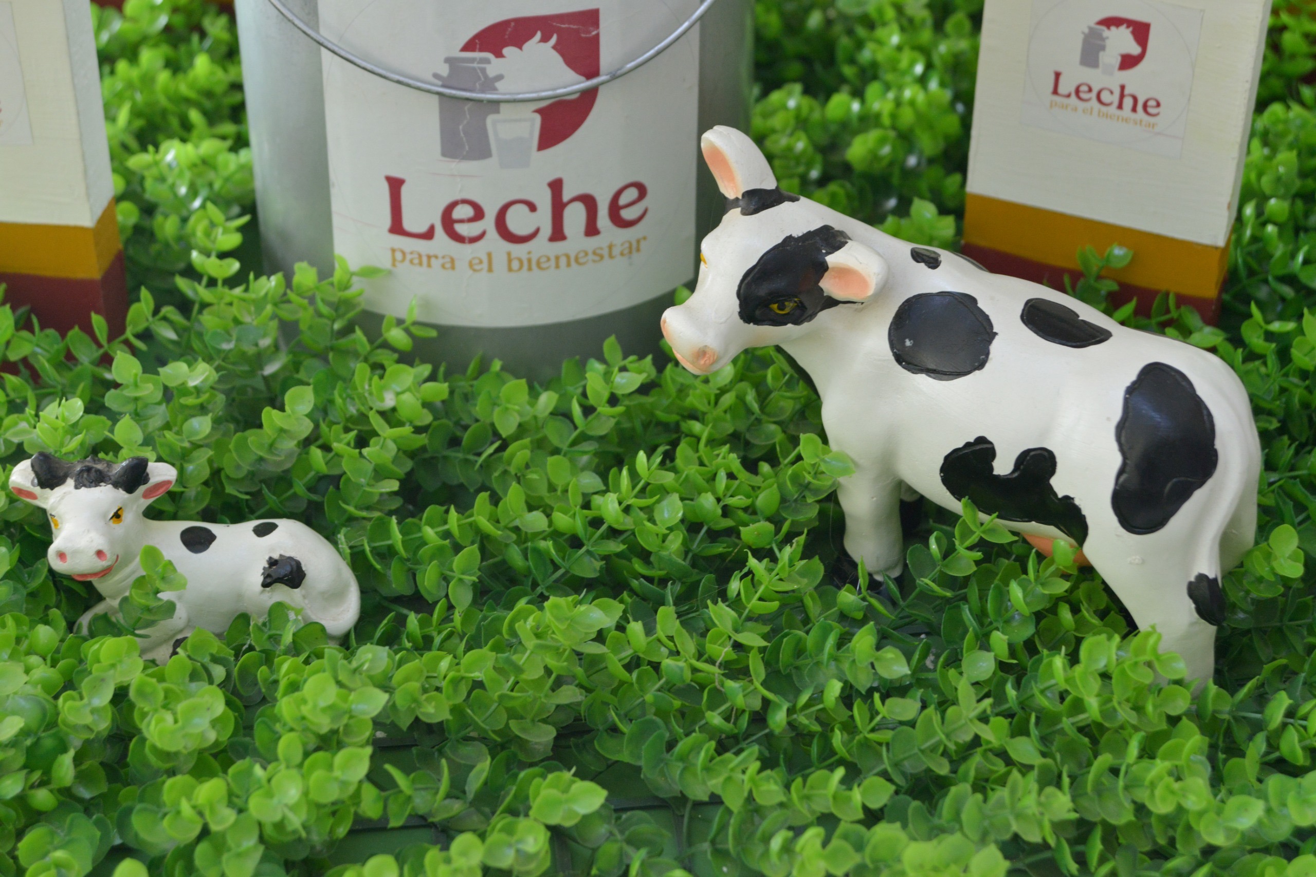 Más acopiadoras y centros de atención por las nuevas plantas de Leche del Bienestar