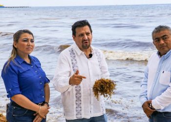 Advierte el PAN afectaciones por el sargazo en Quintana Roo