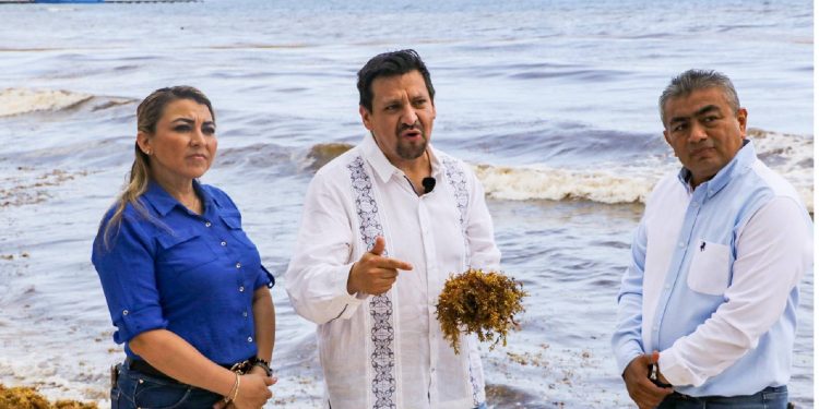 Advierte el PAN afectaciones por el sargazo en Quintana Roo