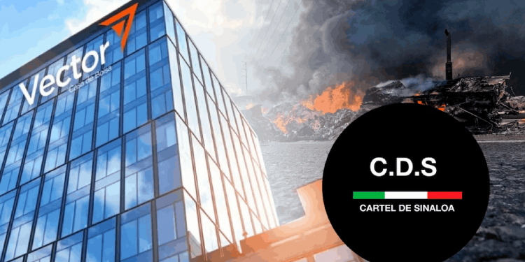 Casa de bolsa Vector ayudó al Cártel de Sinaloa a lavar dinero: 900 millones blanqueados en la cárcel