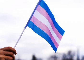 Buscan tipificar el transfeminicidio como delito