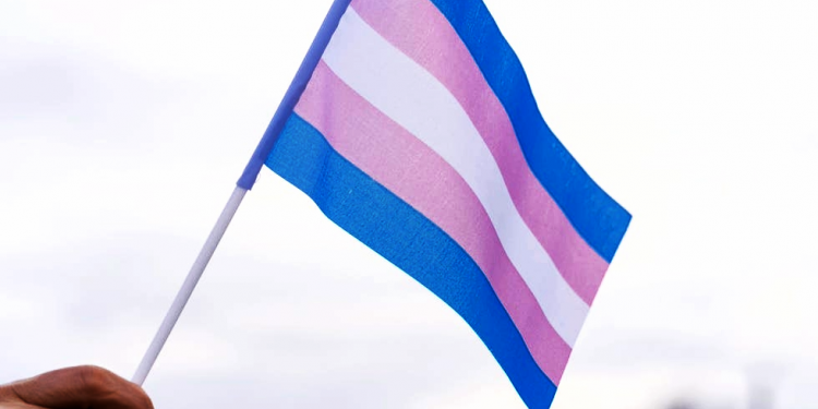 Buscan tipificar el transfeminicidio como delito