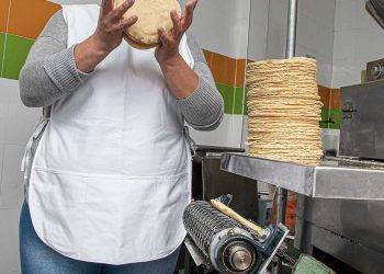 Invaden tortillas piratas: tortilleros de Quintana Roo pierden hasta 70 % en ventas