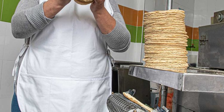 Invaden tortillas piratas: tortilleros de Quintana Roo pierden hasta 70 % en ventas