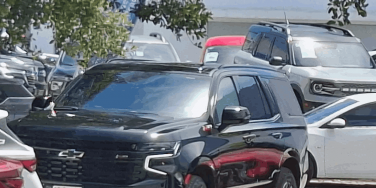 Cobran 50 mil pesos por ejecutar a Mario Machuca: sicarios revelan detalles