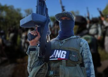 EU ‘castiga’ a defraudadores y huachicoleros de Puerto Vallarta con duras sanciones