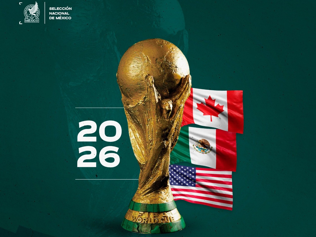 Disponibilidad limitada y exclusiones importantes