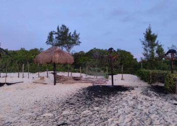 Incendio destruye tres palapas en Playa 72 de Playa del Carmen; autoridades no descartan que haya sido provocado