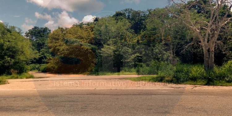 Violento ataque en ciclovía: agreden a ciudadanos con piedras y botellas