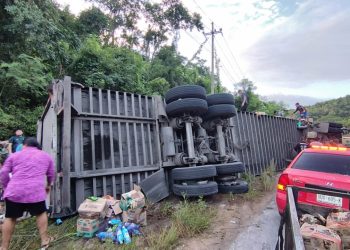 Volcadura de tráiler cargado de pollos en José María Morelos provoca rapiña