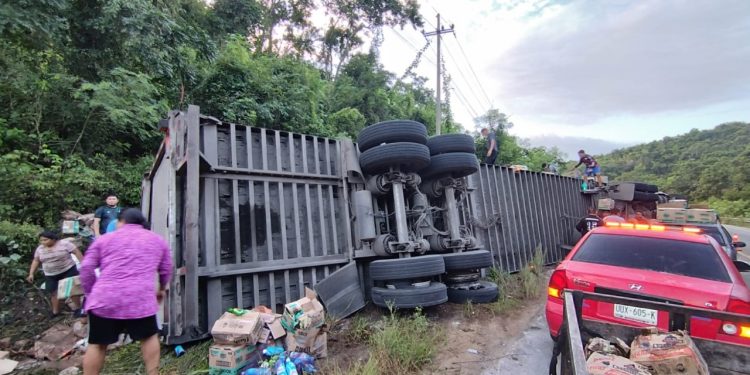 Volcadura de tráiler cargado de pollos en José María Morelos provoca rapiña