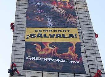 Greenpeace escala la Estela de Luz en CDMX