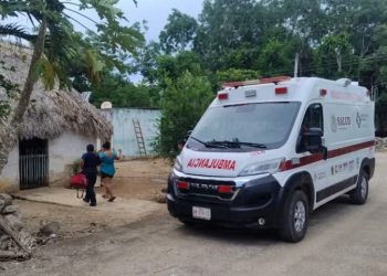 Ataque de abejas deja cinco personas lesionadas en San Diego, José María Morelos