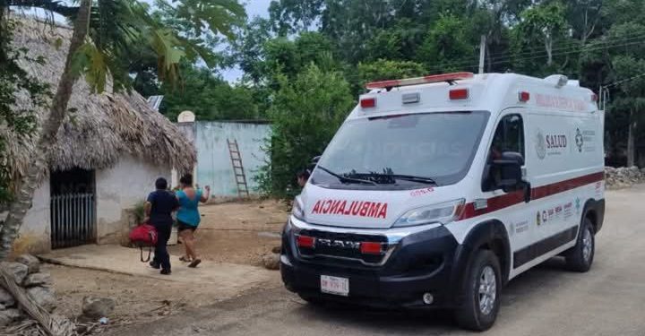 Ataque de abejas deja cinco personas lesionadas en San Diego, José María Morelos
