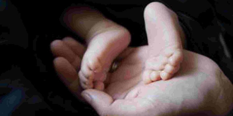 Pareja registra bebé nacido en vientre de alquiler en Cancún